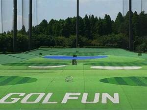 ザ・ゴルファン