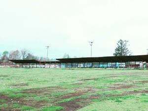 ビッグバーディー