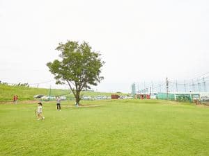 新川ゴルフ