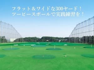 ゴルフプラザ伊奈