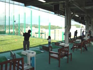 コスモグリーン