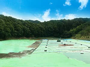 マスターズゴルフ