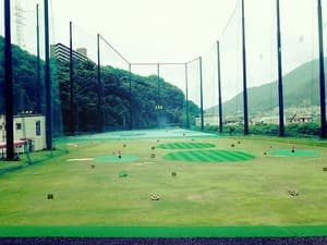 ピーズリンクス