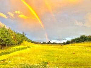 ゴルフガーデンナイスイン