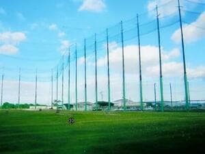 ダイヤモンド・リンクス