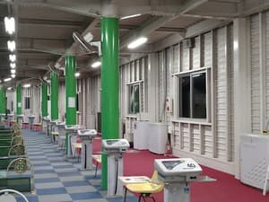 グリーンゴルフ