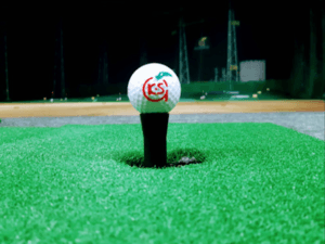 ケイ・エス ゴルフガーデン 久留米みやき店