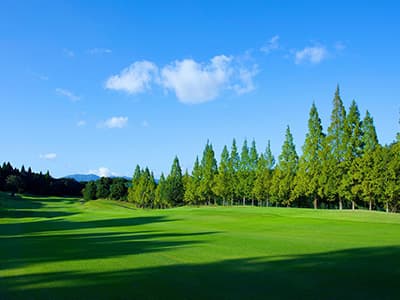 WITHIN STYLE ゴルフクラブ