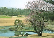 金乃台カントリークラブ