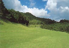 大秦野カントリークラブ【PGM】