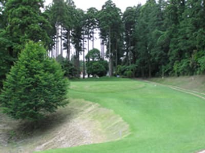 ダイナミックゴルフ千葉