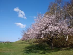 エバーグリーンゴルフ倶楽部