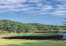 PGM総成ゴルフクラブ【GRAND PGM】