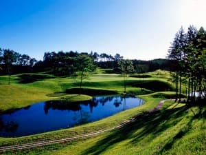 ニューセントアンドリュース　ゴルフクラブ・ジャパン