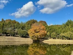 大厚木カントリークラブ 桜コース【アコーディア】