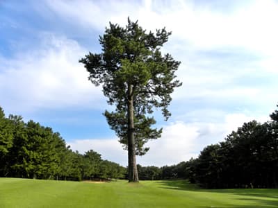 玄海ゴルフクラブ