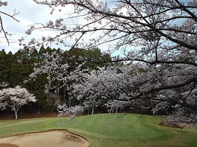 アコーディア・ゴルフ 空港ゴルフコース成田【アコーディア】