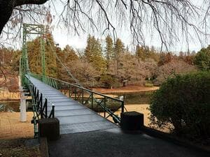 中山カントリークラブ