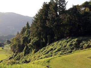 秩父国際カントリークラブ【アコーディア】