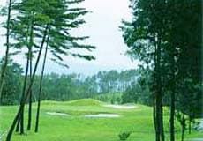 大山アークカントリークラブ【PGM】