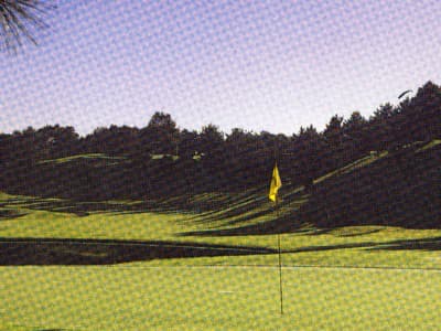 太平洋クラブ有馬コース