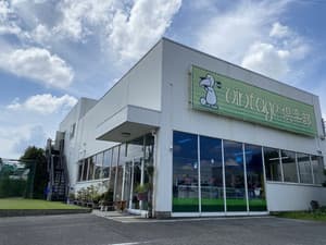 ヴィンテージ倶楽部