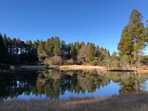 真名カントリークラブ 真名コース