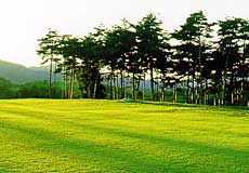 宮城野ゴルフクラブ【アコーディア】
