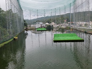 ビーナスグリーンクラブ