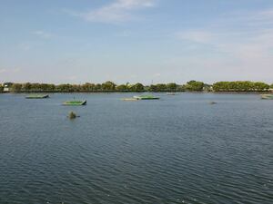 水上ゴルフセンター