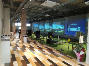 3G INDOOR GOLF