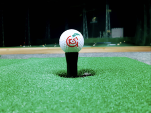 ケイ・エス ゴルフガーデン 久留米みやき店