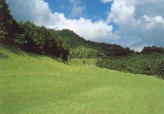 大秦野カントリークラブ【PGM】