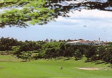 新千葉カントリー倶楽部