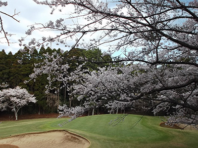 アコーディア・ゴルフ 空港ゴルフコース成田【アコーディア】