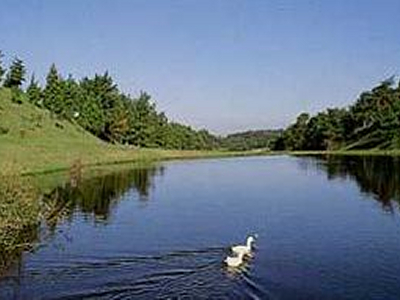 堺カントリークラブ【アコーディア】